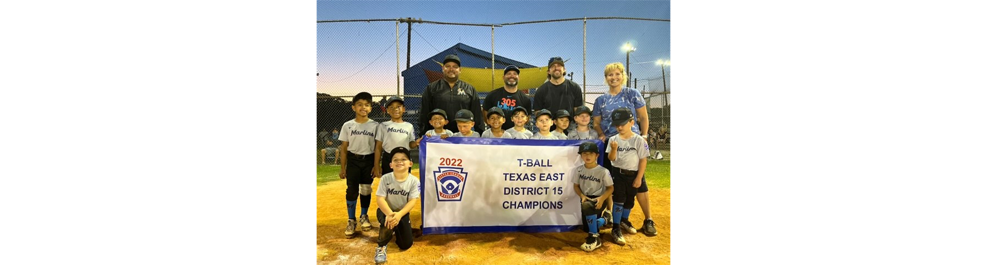 District 15 TBall Champions